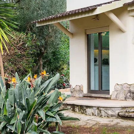 Garden House Holiday home Cascais