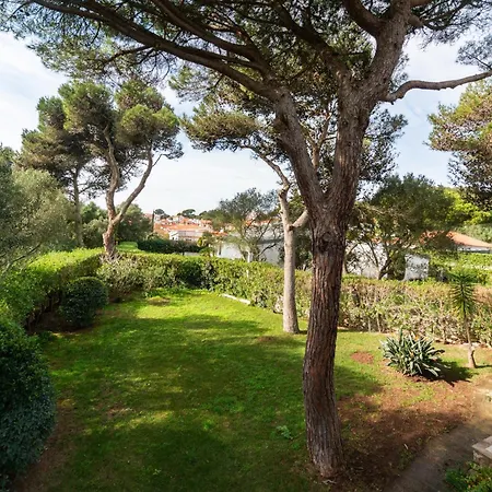 Garden House Holiday home Cascais